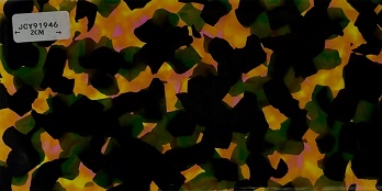 JCYP91946