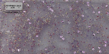 JCYP801263