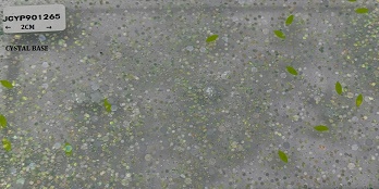 JCYP901265