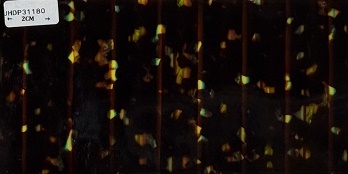 JHDP31180