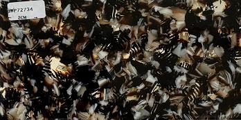 ZWP72734