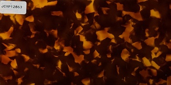 JCYP12863