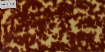 JCYP701032