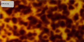JCK3078