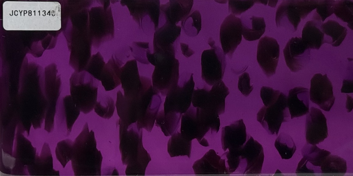 JCYP811340
