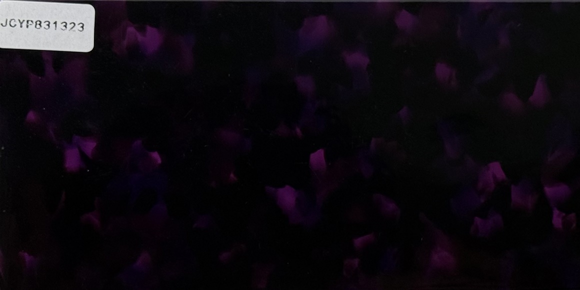 JCYP831323