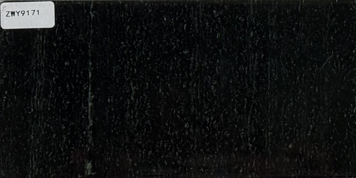 ZWY9171